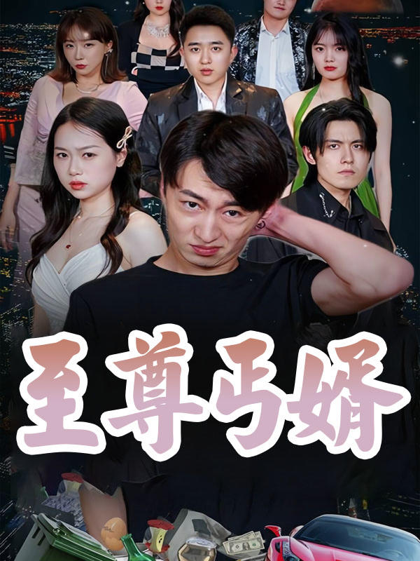 至尊丐婿