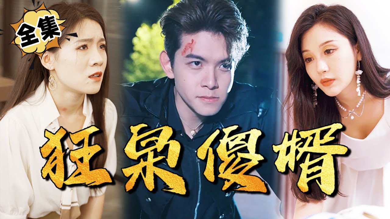 狂枭傻婿