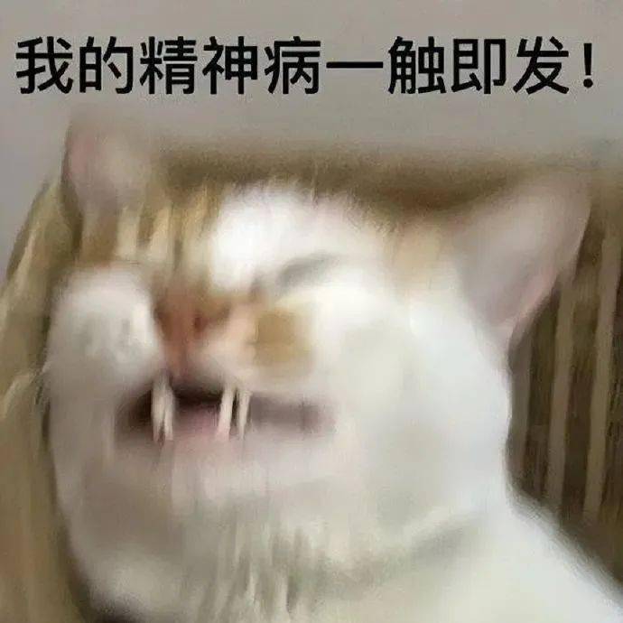 我的精神病一触即发