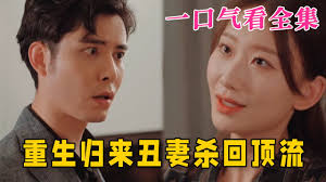 重生归来丑妻杀回顶流