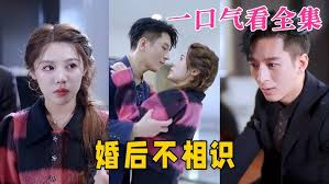 逃婚后阔少偏宠我