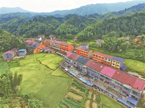乡村卧龙
