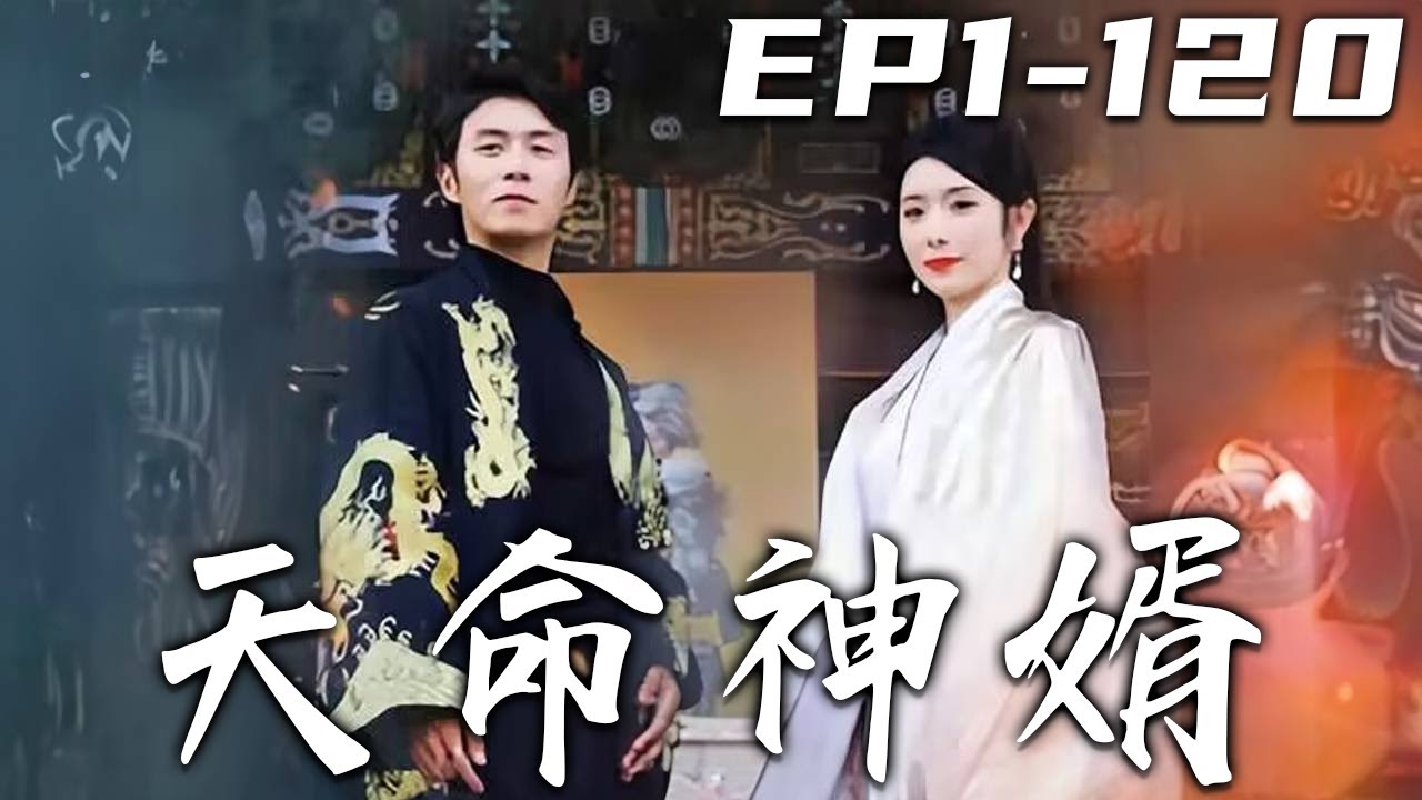 天命神婿
